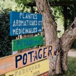 WhatsApp Image 2022-06-19 at 17.49.48