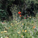 WhatsApp Image 2022-06-19 at 17.49.48 (2)